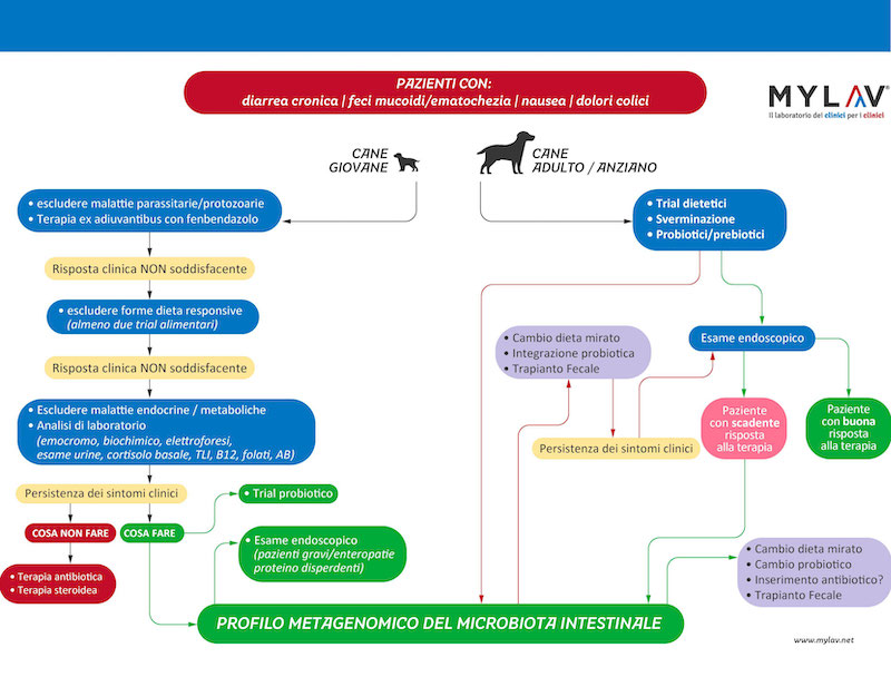 COME UTILIZZARE L'ANALISI DEL MICROBIOTA INTESTINALE: SCOPRILO CON QUESTO ALGORITMO