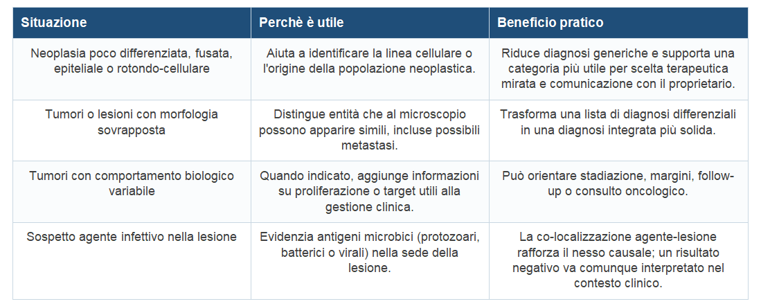 Immunoistochimica nella diagnosi istologica, guida pratica MyLav: quando serve, che valore aggiunge e come preparare il campione