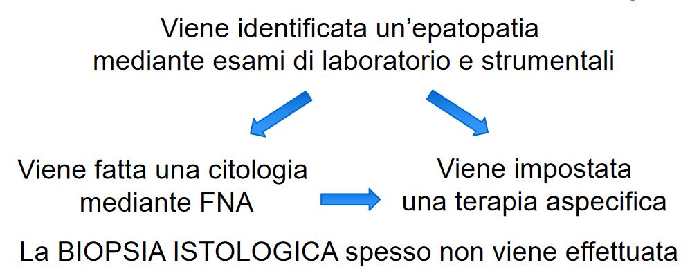 BIOPSIA EPATICA ISTOLOGICA: UN TABOO DA SUPERARE