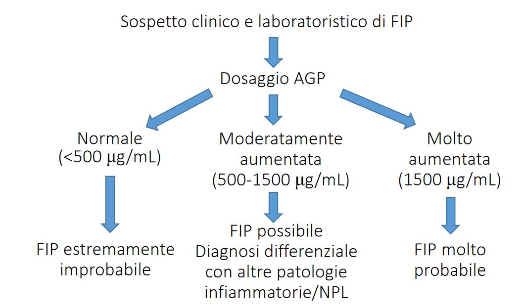 IL RITORNO DI UN GRANDE CLASSICO: L'AGP (ALFA-1 GLICOPROTEINA ACIDA) FELINA