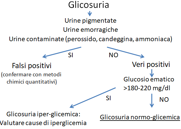 La glicosuria normo-glicemica del cane: l'approccio diagnostico mediante semplici algoritmi 