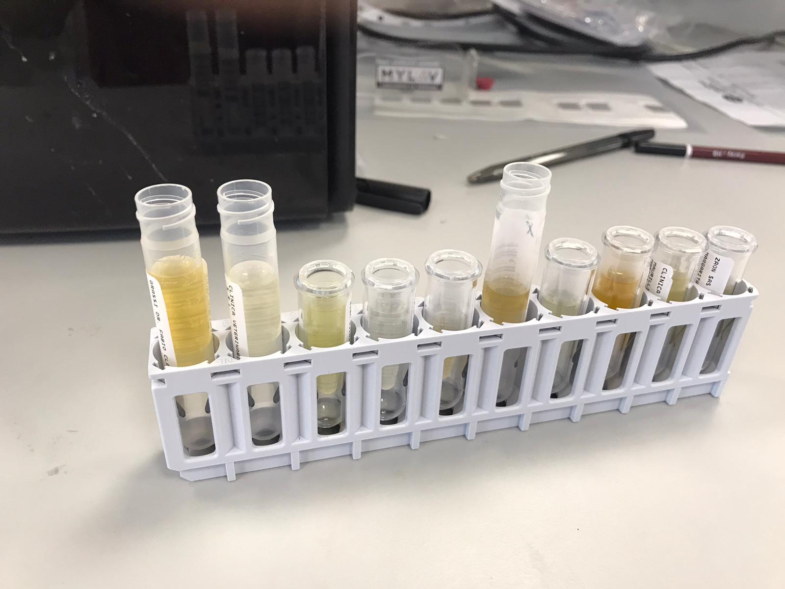 IL TIPO DI PRELIEVO DI URINE INFLUISCE SU PROTEINURIA E CORTISOLURIA?