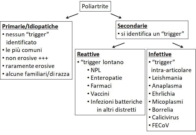 La poliartrite immuno-mediata: come faccio a fare la diagnosi?