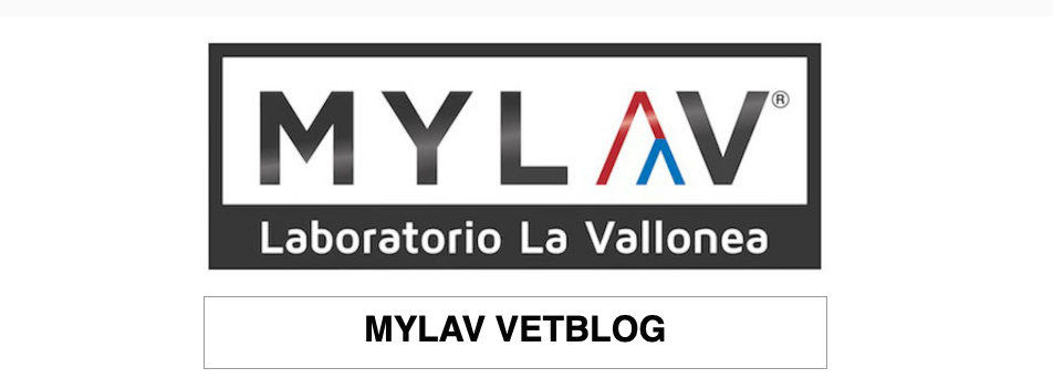 ARRIVA IL NUOVO MYLAV VETBLOG