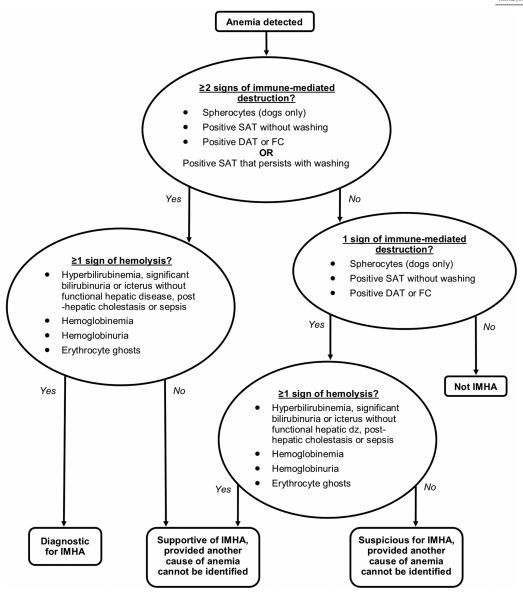 Il Consensus dell'ACVIM sulla diagnosi delle anemie emolitiche immuno-mediate