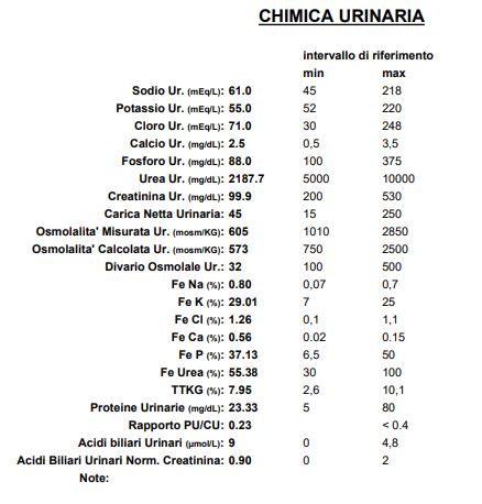 Quali informazioni ci può fornire la chimica urinaria?