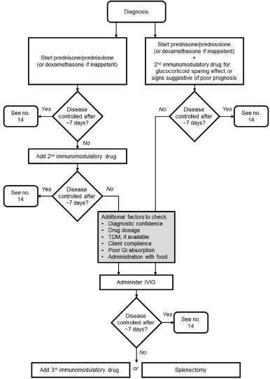 Il Consensus dell'ACVIM sulla terapia dell'anemia emolitica immuno-mediata canina