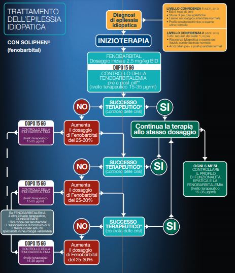 Quale significato dare ai monitoraggi terapeutici degli anticonvulsivanti?